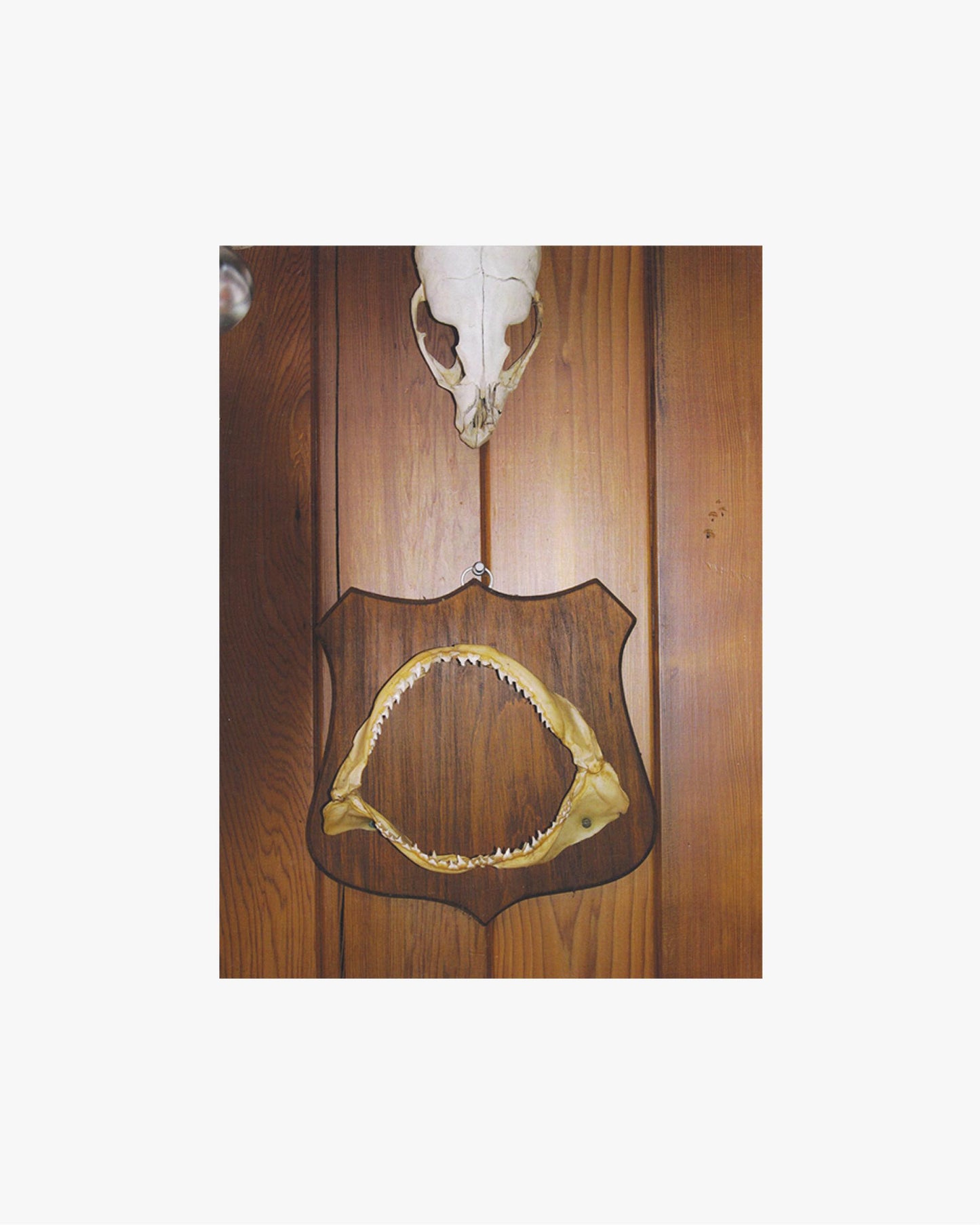 PRIMITIVE SKILLS - Volume 01