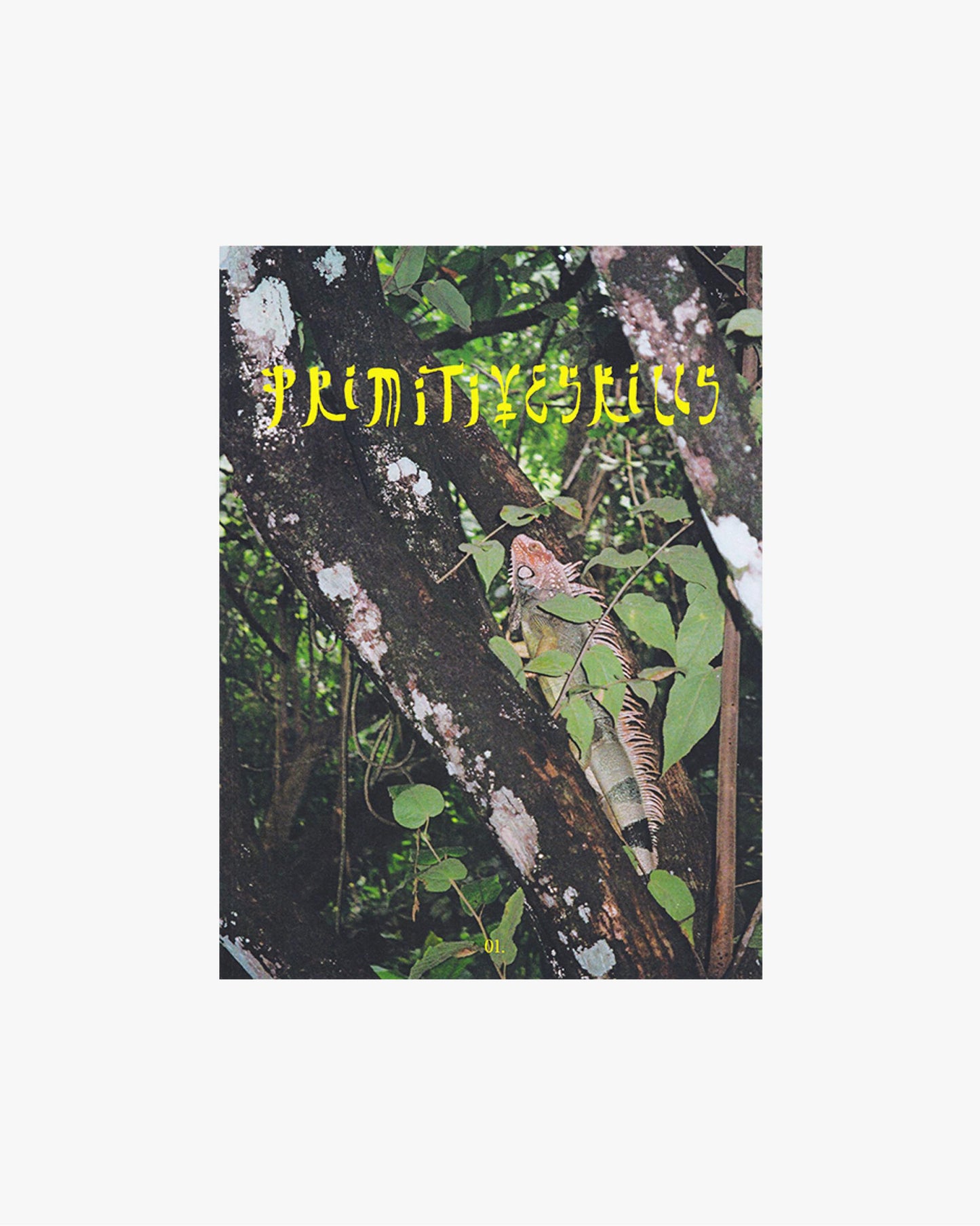 PRIMITIVE SKILLS - Volume 01