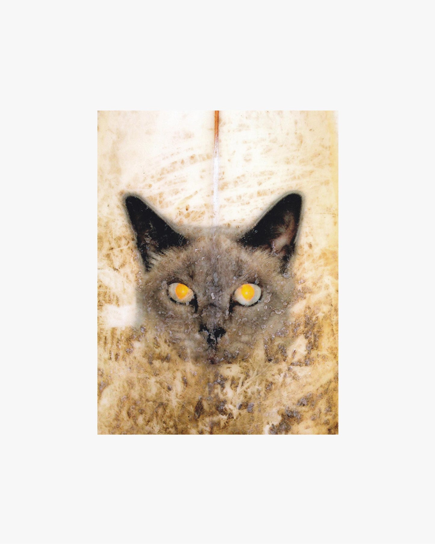 PRIMITIVE SKILLS - Volume 02