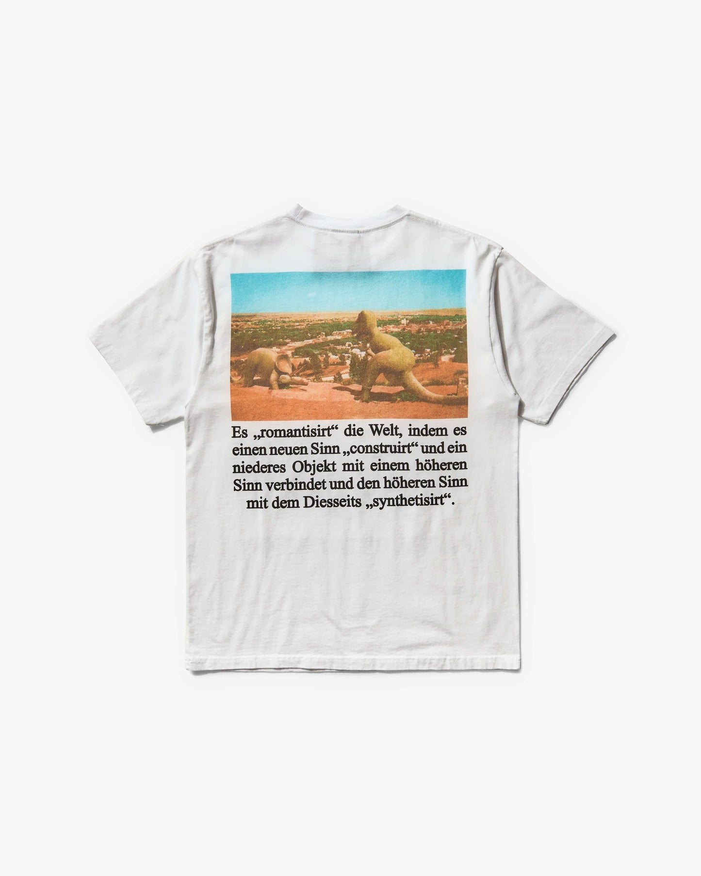 PUBLIC POSSESSION - Novalis White SS Tee
