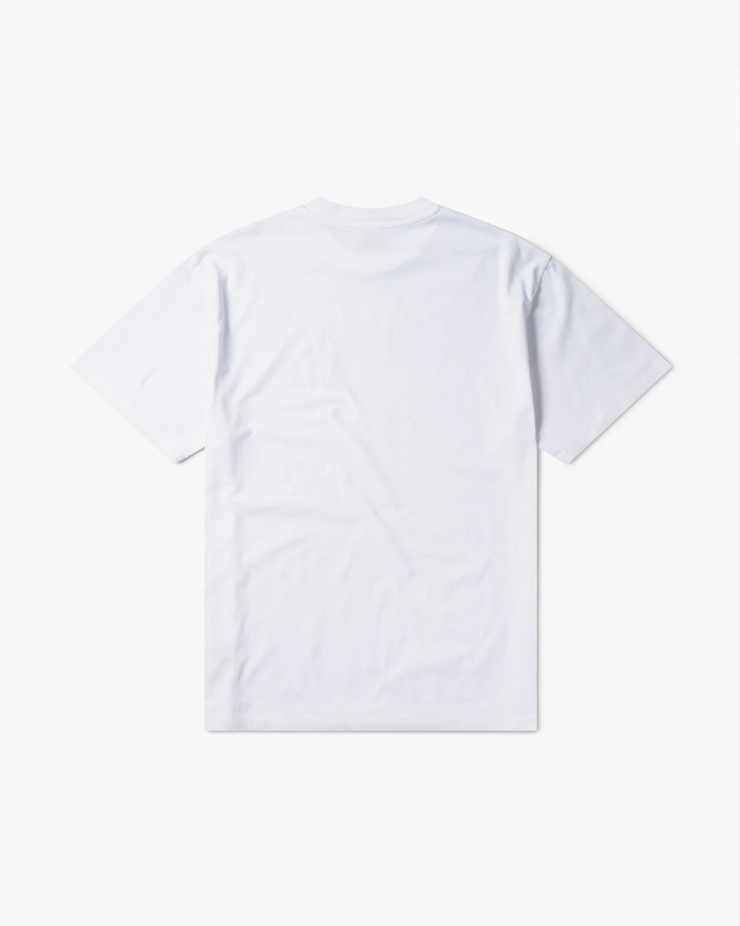 ARIES ARISE - Temple Ss Tee