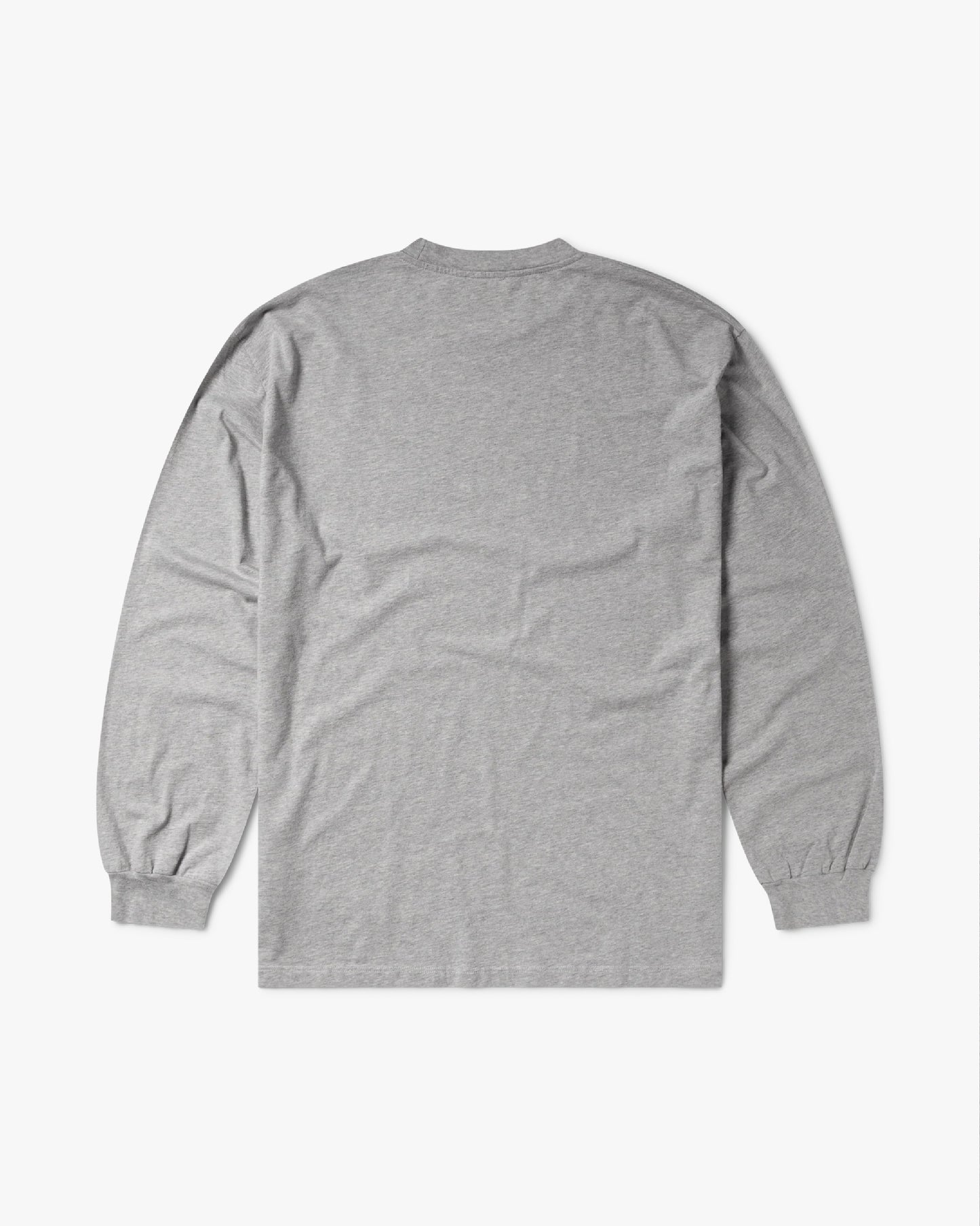 ARIES ARISE - Temple Ls Tee