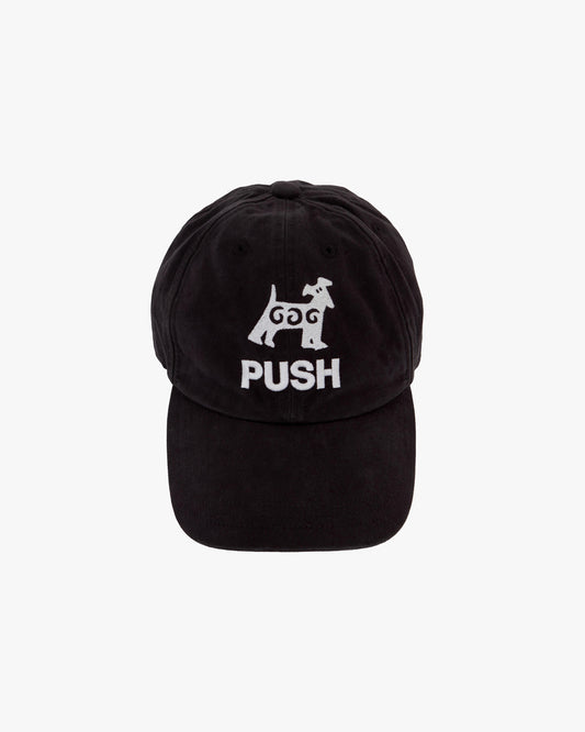 PUBLIC POSSESSION - Push/Pull Cap